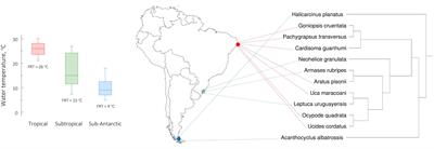 Living on the Edge: Physiological and Kinetic Trade-Offs Shape Thermal Tolerance in Intertidal Crabs From Tropical to Sub-Antarctic South America